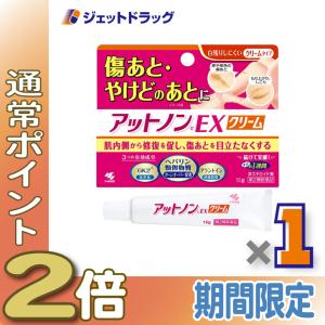 【第2類医薬品】アットノンEX クリーム 15g (044629)｜ジェットドラッグ