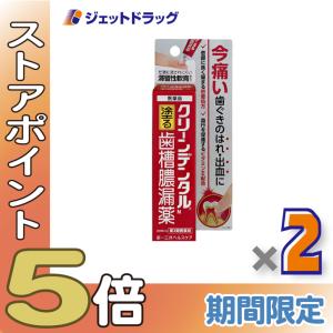 ≪爆買SALE！P5%≫【第3類医薬品】クリーンデンタルN 塗る歯槽膿漏薬 16g ×2個〔歯茎の腫れ〕｜ジェットドラッグ