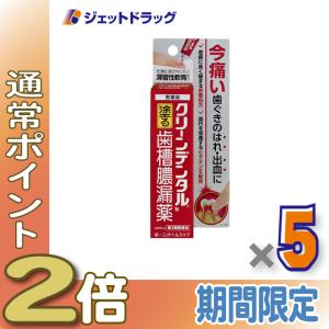 ≪5日はP2%!≫【第3類医薬品】クリーンデンタルN 塗る歯槽膿漏薬 16g ×5個〔歯茎の腫れ〕｜ジェットドラッグ