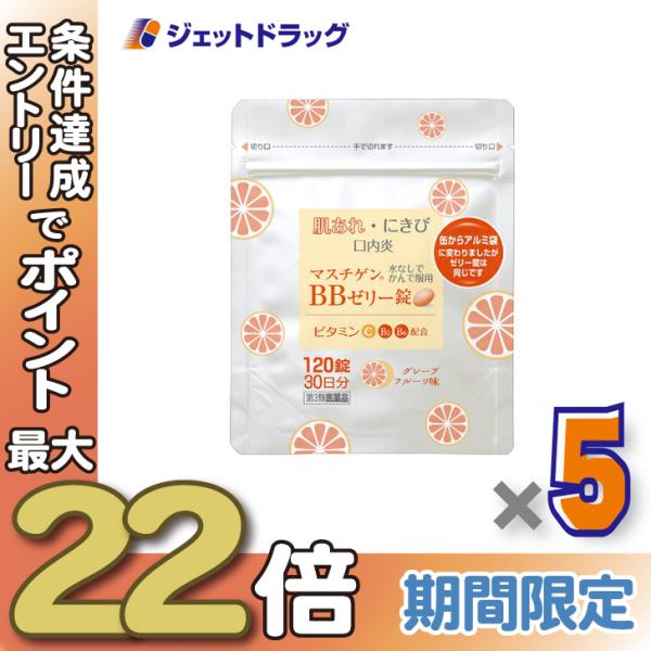 ≪28日-30日はP5%≫【第3類医薬品】マスチゲンBBゼリー錠 120錠 ×5個〔肌あれ・にきび〕