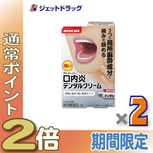≪28日-30日はP5%≫【第2類医薬品】デンタルクリーム 5g ×2個〔口内炎〕