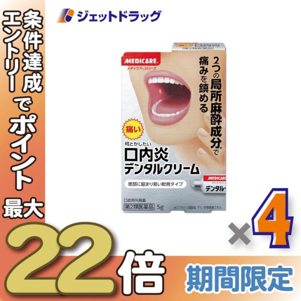 ≪28日-30日はP5%≫【第2類医薬品】デンタルクリーム 5g ×4個〔口内炎〕