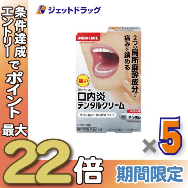 ≪28日-30日はP5%≫【第2類医薬品】デンタルクリーム 5g ×5個〔口内炎〕
