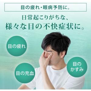 【第2類医薬品】〔目薬・つかれ)新V・ロート ...の詳細画像4