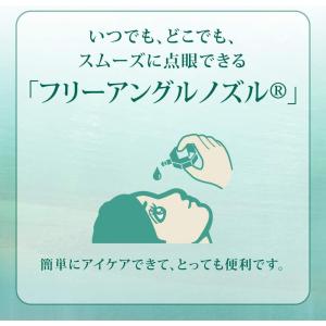 【第2類医薬品】〔目薬・つかれ)新V・ロート ...の詳細画像5