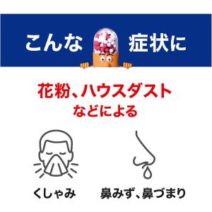 ≪15日はP2%≫【第2類医薬品】新コンタック...の詳細画像3