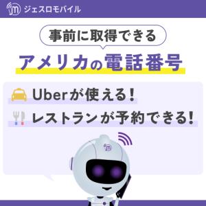 アメリカ ハワイ eSIM 15カ月 データ無...の詳細画像4