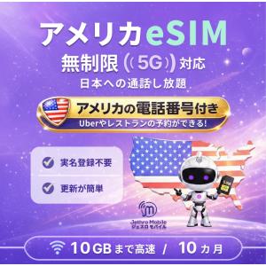 アメリカ ハワイ eSIM 10カ月 データ無制...の商品画像