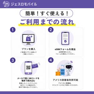 アメリカ ハワイ eSIM 30日間 データ ...の詳細画像3
