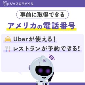 アメリカ ハワイ eSIM 5日間 データ無制...の詳細画像3