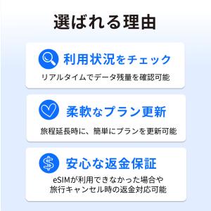 フィリピン eSIM 15日間 20GB 高速...の詳細画像2
