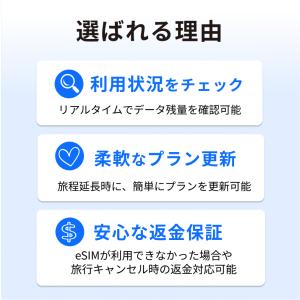 フィリピン eSIM SIM 5日間 5GB ...の詳細画像2