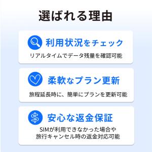 ヨーロッパ 38カ国 SIM 10日間 高速デ...の詳細画像3
