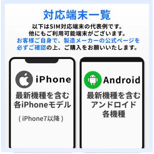 アメリカ ハワイ SIM 5日間 5GB (1...の詳細画像5