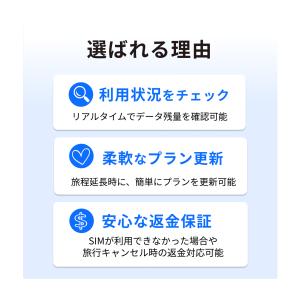 アメリカ ハワイ SIM 10日間 10GB ...の詳細画像2