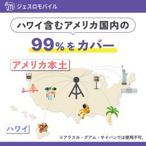 アメリカ ハワイ SIMカード 3カ月 データ...の詳細画像2