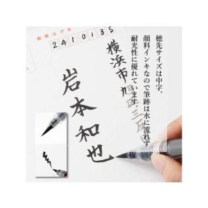 ぺんてる ぺんてる筆 顔料インキ 中字 XFP...の詳細画像2
