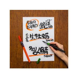 ペンテル ぺんてる筆 太字 XFL2B 濃墨 ...の詳細画像3