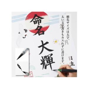 ペンテル ぺんてる筆 太字 XFL2B 濃墨 ...の詳細画像4