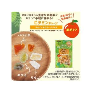【お取り寄せ】ドギーマンハヤシ 小動物の南国フ...の詳細画像2
