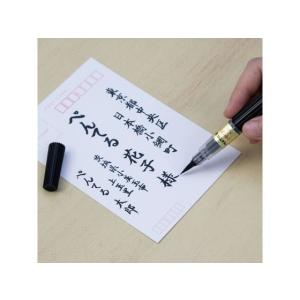 ぺんてる ぺんてる筆 中字 黒 XFL2L 濃...の詳細画像2