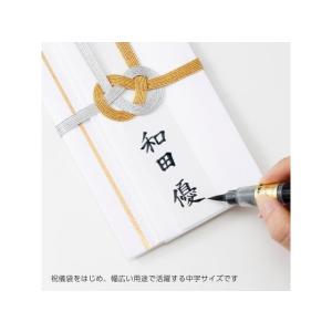 ぺんてる ぺんてる筆 中字 黒 XFL2L 濃...の詳細画像3