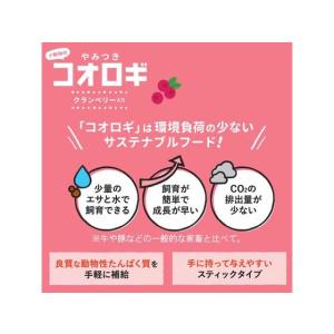 【お取り寄せ】ドギーマンハヤシ 小動物のやみつ...の詳細画像2