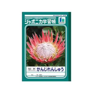 ジャポニカ学習帳 漢字練習 50字 十字リーダー入 4805 ショウワノート Jl 48 Jl 48 Penport 通販 Yahoo ショッピング