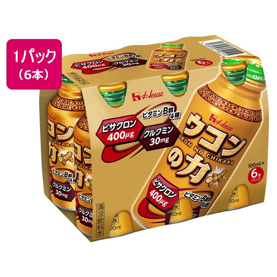 ハウスウェルネスフーズ ウコンの力 100ml 6本  栄養ドリンク 栄養補助 健康食品