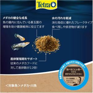 【お取り寄せ】スペクトラムブランズ テトラキリ...の詳細画像2