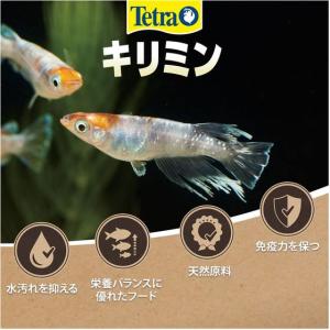 【お取り寄せ】スペクトラムブランズ テトラキリ...の詳細画像4