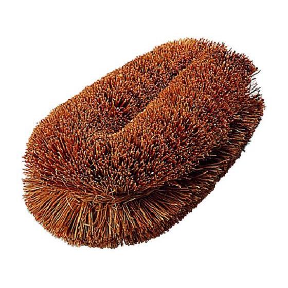 【お取り寄せ】TRUSCO ナチュラルブラシ「いがぐり君」 110mm TW-S タワシ ブラシ 清...