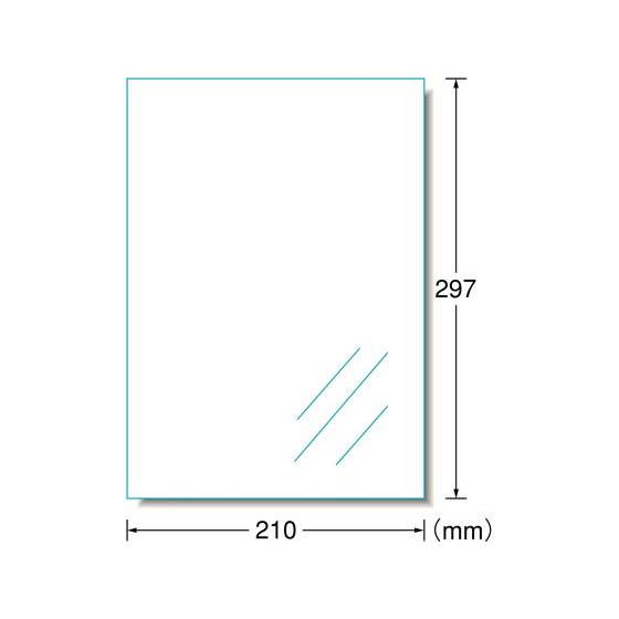 エーワン IJラベル[透明光沢フィルムタイプ]A4 ノーカット 10枚 28791 ノーカット イン...