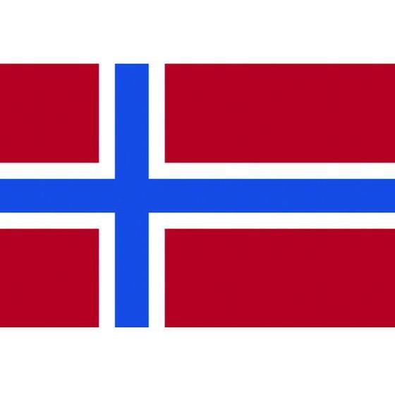 【お取り寄せ】東京製旗 卓上旗(16×24cm)ノルウェ- 406581 安全標識 ステッカー 現場...