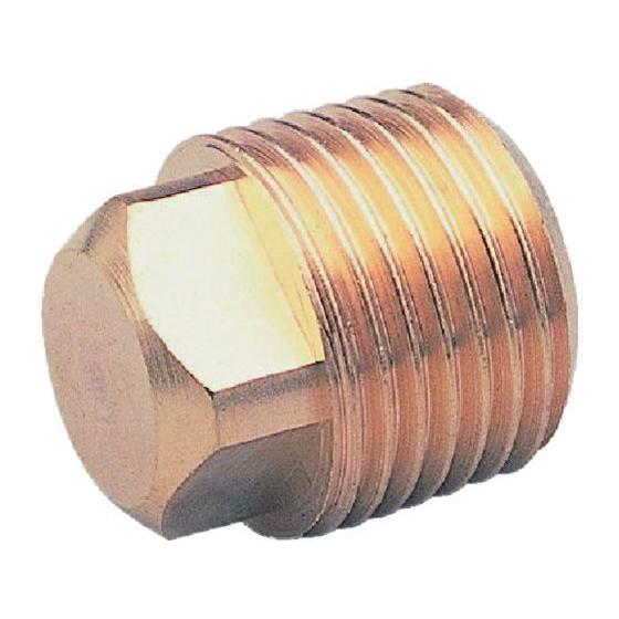 【お取り寄せ】ASOH 四角プラグ PT3／8(RoHS) NP-1003R 継手 アダプター 配管...