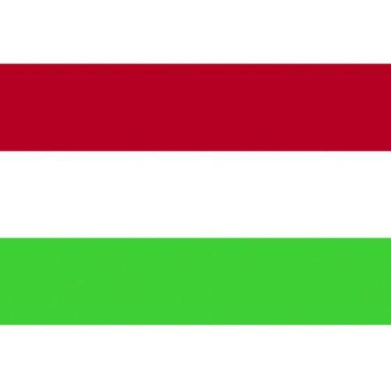 【お取り寄せ】東京製旗 卓上旗(16×24cm)ハンガリー 406614 安全標識 ステッカー 現場...