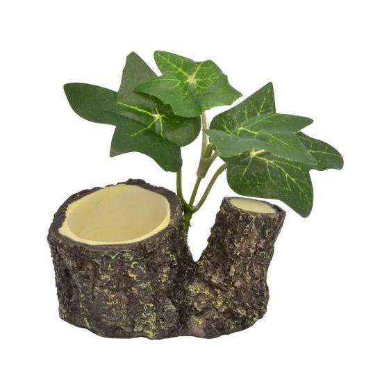 【お取り寄せ】三晃商会 オカヤドカリのゼリー皿 574 グッズ 観賞魚 ペット アクアリウム