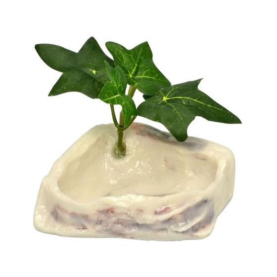 【お取り寄せ】三晃商会 オカヤドカリのプール 585 グッズ 観賞魚 ペット アクアリウム