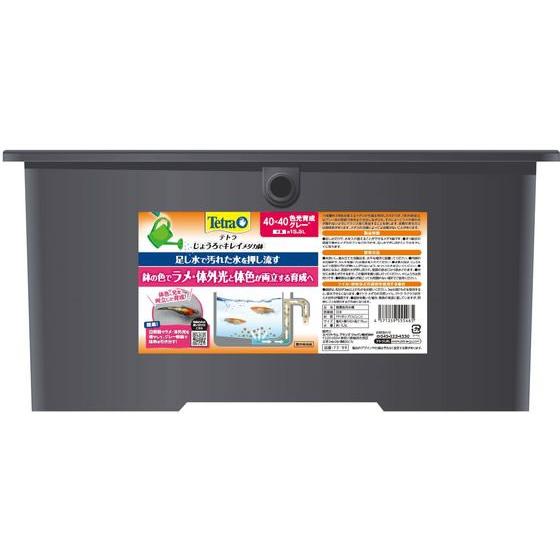 【お取り寄せ】スペクトラム テトラ じょうろでキレイメダカ鉢40×40 色光育成グレー 水槽 照明器...