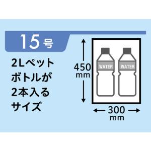 規格袋 LDPE 15号 透明 100枚 Fo...の詳細画像1