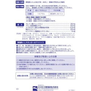 【第(2)類医薬品】薬)エスエス製薬 アネロン...の詳細画像2