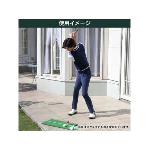 【お取り寄せ】Tabata GOLF タバタゴ...の詳細画像5