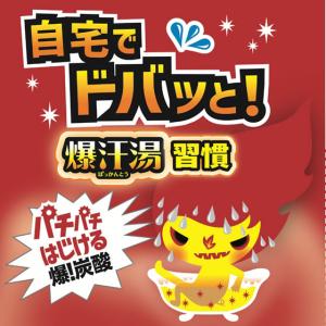 バイソン 爆汗湯 ホットアロマの香り 60g ...の詳細画像2