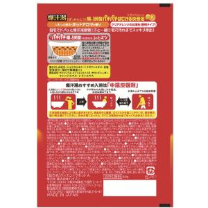 バイソン 爆汗湯 ホットアロマの香り 60g ...の詳細画像4