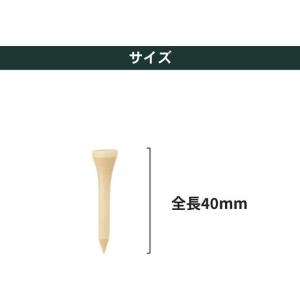 【お取り寄せ】Tabata GOLF タバタゴ...の詳細画像2
