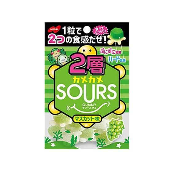 ノーベル製菓 2層カメカメサワーズ マスカット 45g  キャンディ 飴 キャンディ タブレット お...