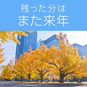 アース製薬 アースノーマット 取替えボトル 1...の詳細画像5