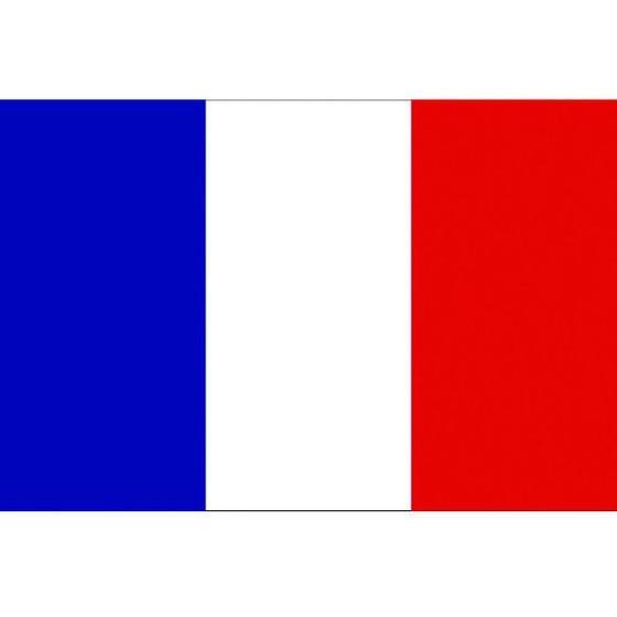 【お取り寄せ】東京製旗 卓上旗(16×24cm)フランス 406647 安全標識 ステッカー 現場 ...