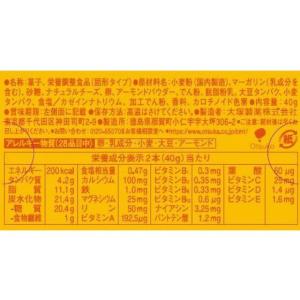 大塚製薬 カロリーメイトブロック チーズ味(2...の詳細画像1