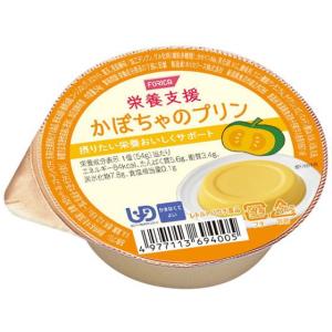 ホリカフーズ 栄養支援 かぼちゃのプリン 54g...の商品画像